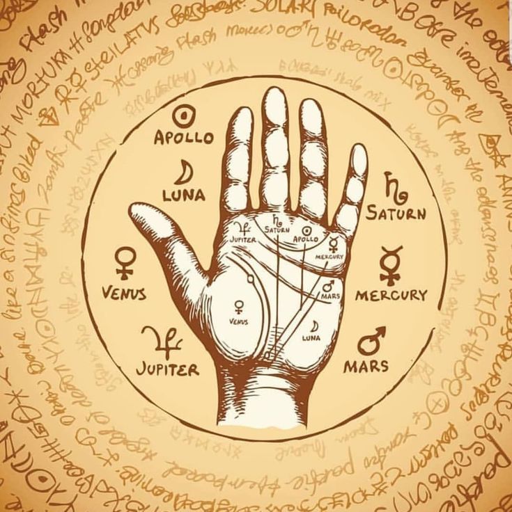 Thumb impression palmistry chart